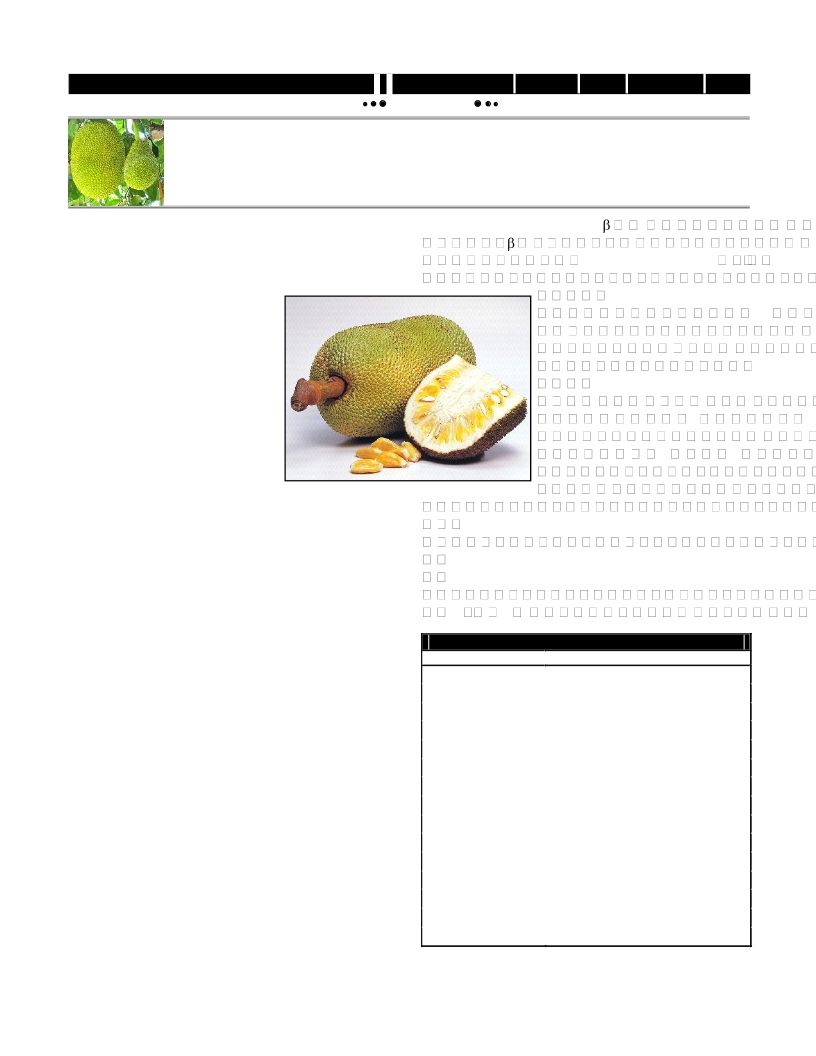 Benifits of Jackfruit