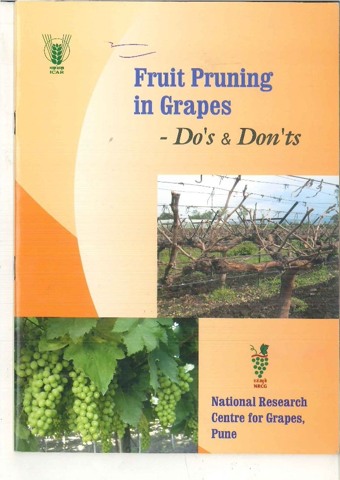 Grapes Pruning