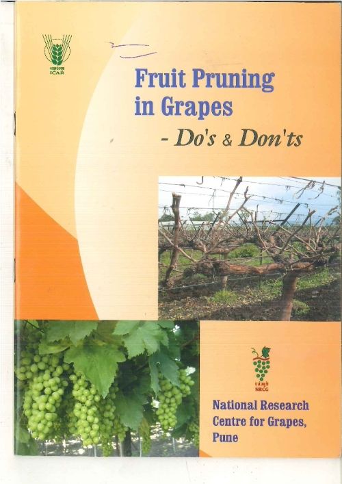 Grapes Pruning
