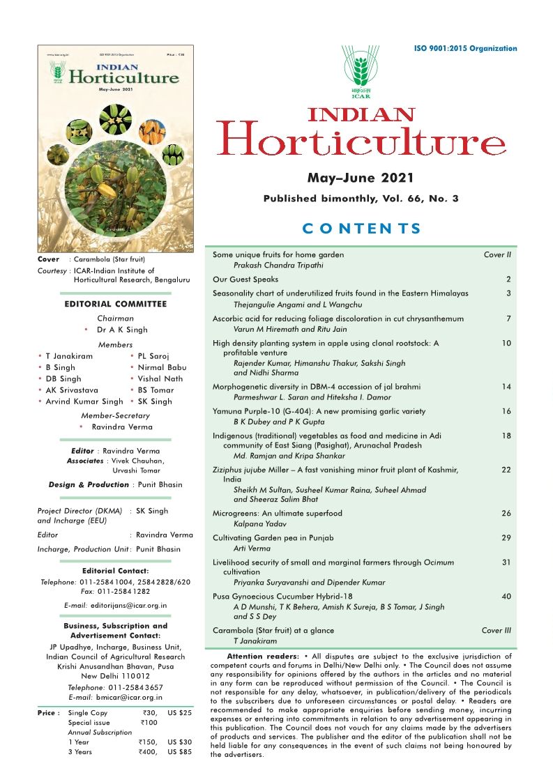 Some unique fruits for home garden